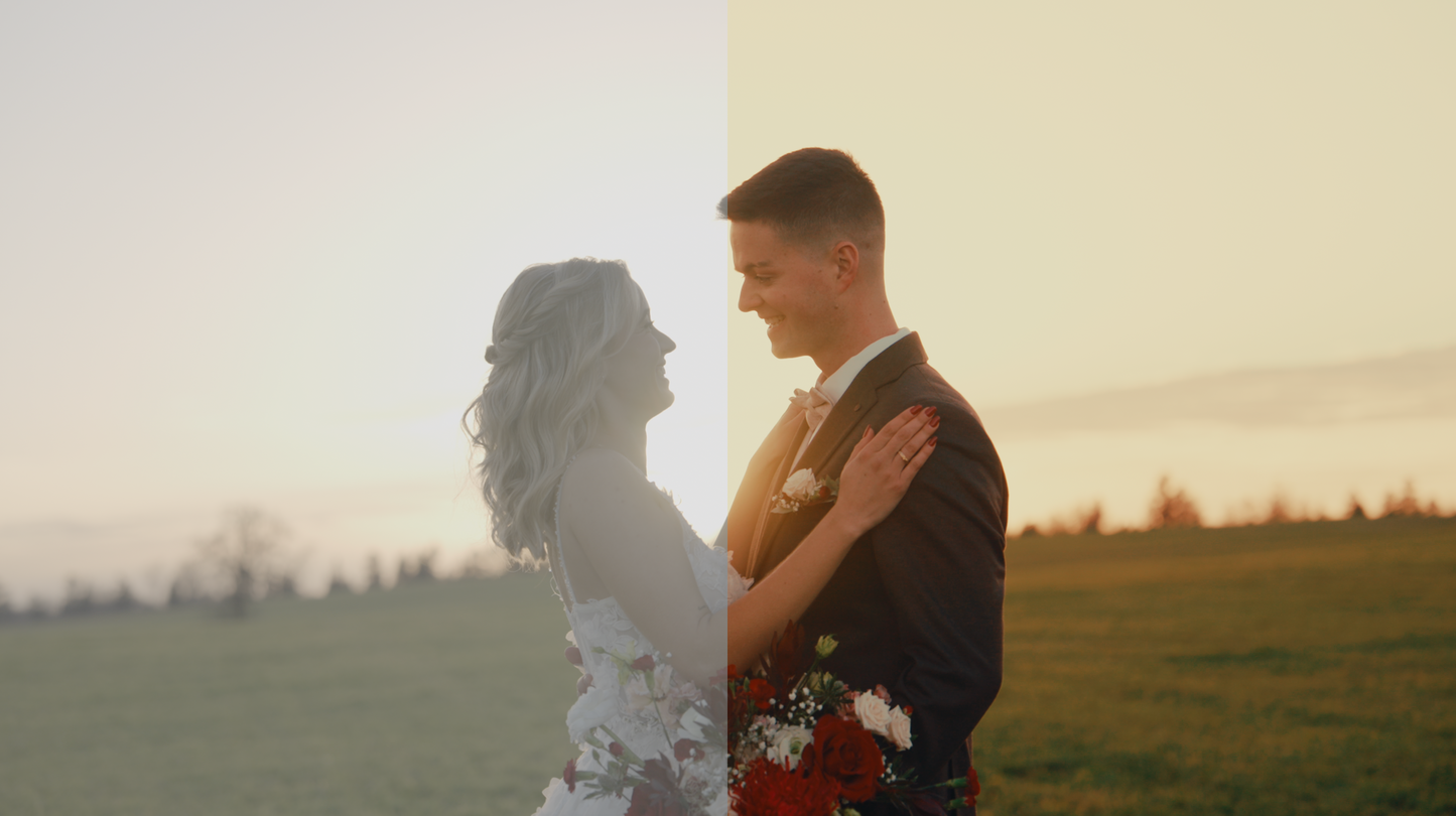 DillonFilms LUTs for LOG (most popular)