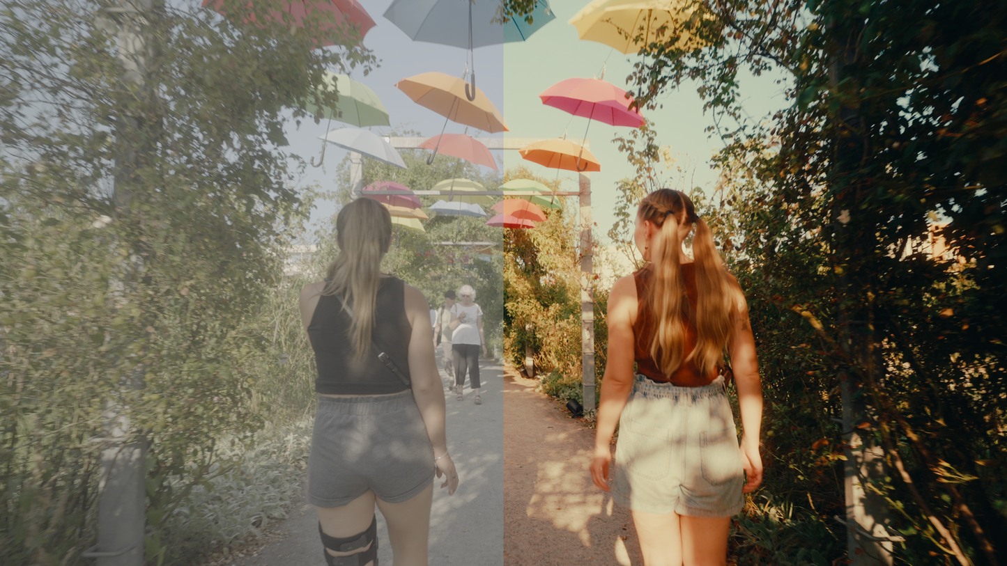 DillonFilms LUTs for LOG (most popular)
